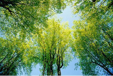 泰国团队《空洞骑士》like新作发布科隆预告